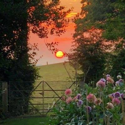 江南体育下载下载手机版