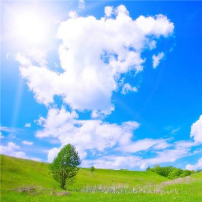 博鱼·体育登录入口