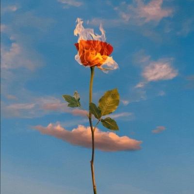 b体育官方app下载手机app下载截图