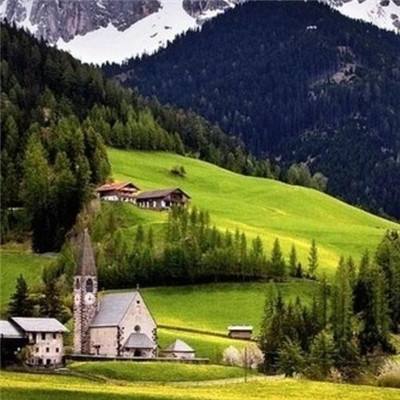 真人斗牛牛手机app下载